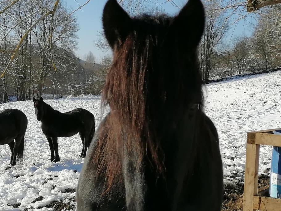 Les Merens Baulou Exterior foto